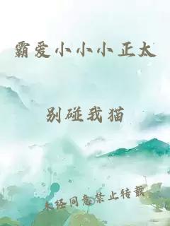 霸爱小小小正太