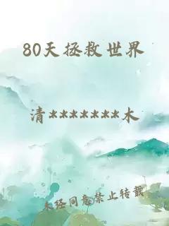 80天拯救世界