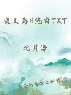 爽文高H纯肉TXT