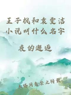 王子枫和袁雯洁小说叫什么名字