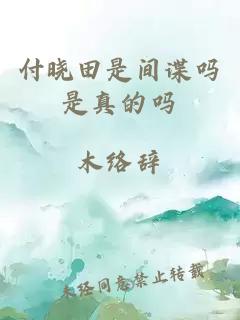 付晓田是间谍吗是真的吗