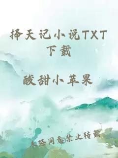 择天记小说TXT下载