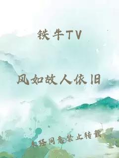 铁牛TV