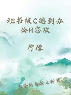 秘书被C摁到办公H窃欢