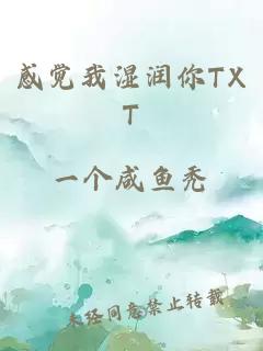 感觉我湿润你TXT