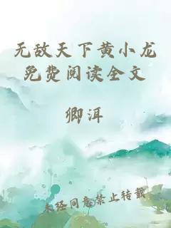 无敌天下黄小龙免费阅读全文