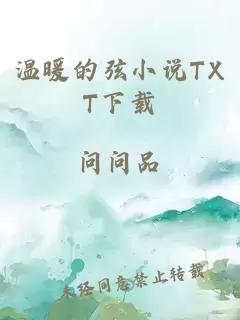 温暖的弦小说TXT下载