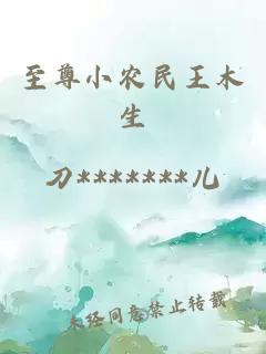 至尊小农民王木生