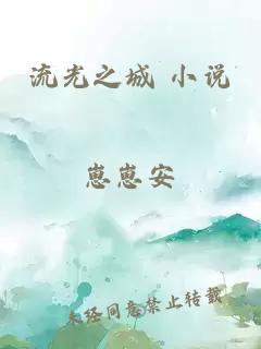 流光之城 小说