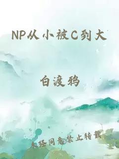 NP从小被C到大