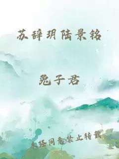 苏辞玥陆景铭