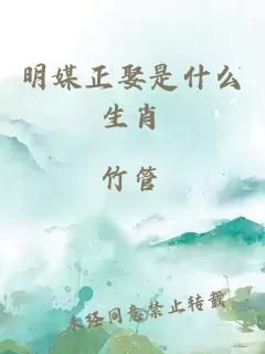 明媒正娶是什么生肖