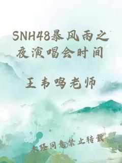 SNH48暴风雨之夜演唱会时间