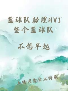 篮球队助理HV1整个篮球队