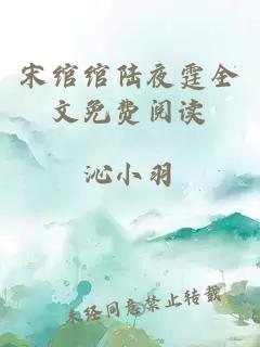 宋绾绾陆夜霆全文免费阅读