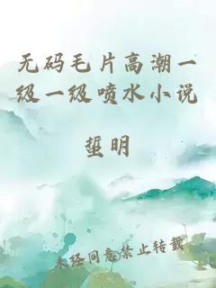 无码毛片高潮一级一级喷水小说