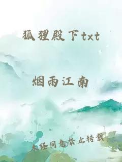 狐狸殿下txt