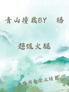 青山撞我BY姀锡