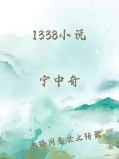 1338小说