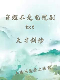 穿越不是电视剧txt