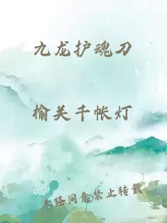 九龙护魂刀