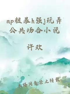 np粗暴h强j玩弄公共场合小说