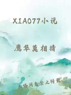 XIAO77小说