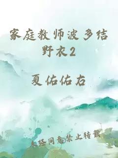 家庭教师波多结野衣2