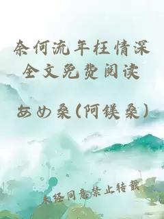 奈何流年枉情深全文免费阅读