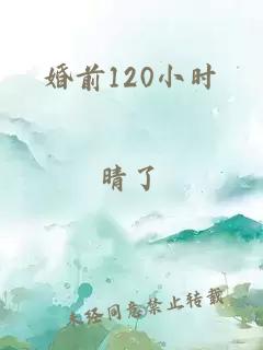 婚前120小时