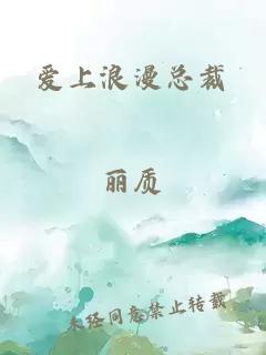 爱上浪漫总裁