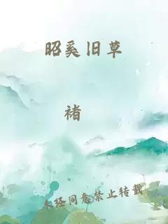 昭奚旧草