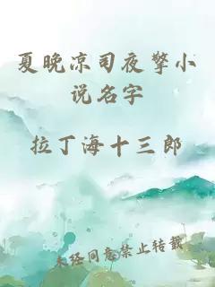 夏晚凉司夜擎小说名字