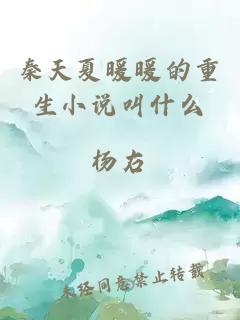 秦天夏暖暖的重生小说叫什么