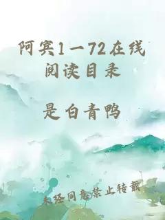 阿宾1一72在线阅读目录