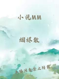 小说MM