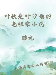 叶秋是叶汐瑶的老祖宗小说