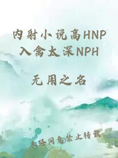 内射小说高HNP入禽太深NPH