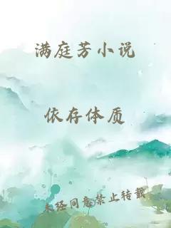 满庭芳小说