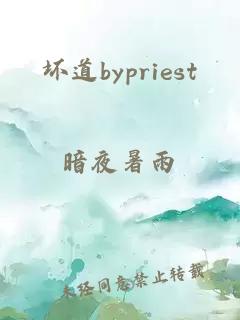 坏道bypriest