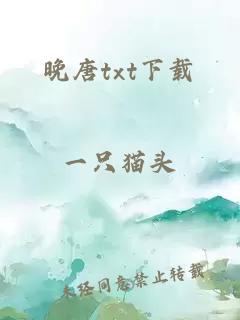 晚唐txt下载