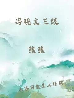 冯晓文三级