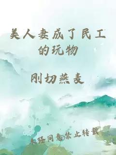 美人妻成了民工的玩物