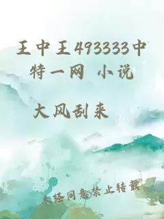 王中王493333中特一网 小说