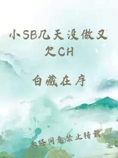 小SB几天没做又欠CH