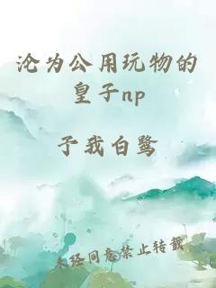 沦为公用玩物的皇子np