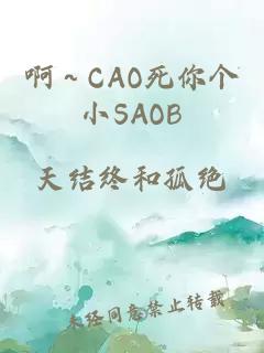 啊～CAO死你个小SAOB