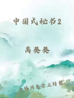 中国式秘书2