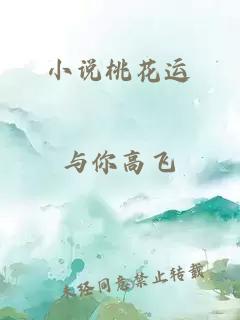 小说桃花运