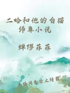 二哈和他的白猫师尊小说